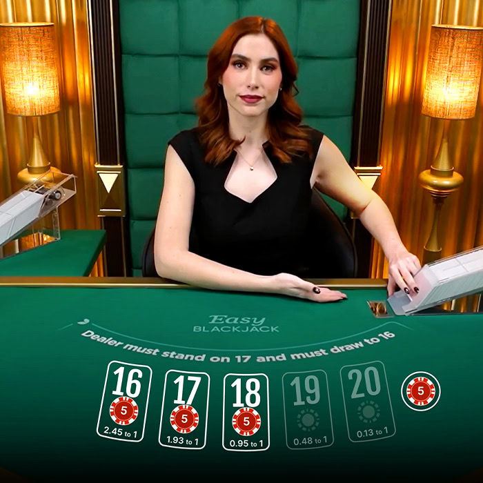 Blackjack 27game